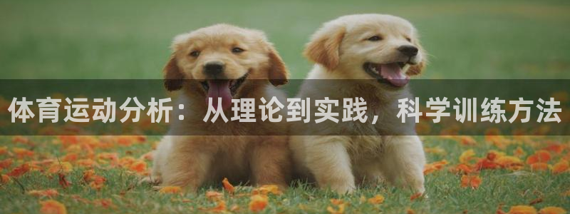 球王会体育：体育运动分析：从理论到实践，科学训练方法