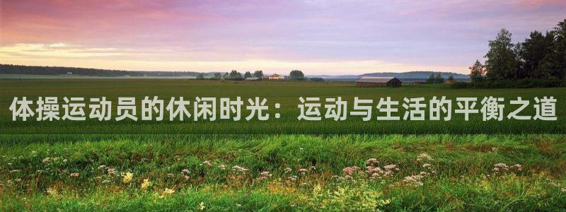 球王会体育：体操运动员的休闲时光：运动与生活的平衡之道