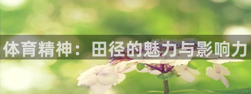 球王会体育：体育精神：田径的魅力与影响力