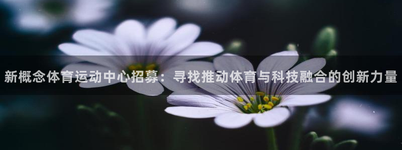 球王会体育：新概念体育运动中心招募：寻找推动体育与科技融合的创新力量