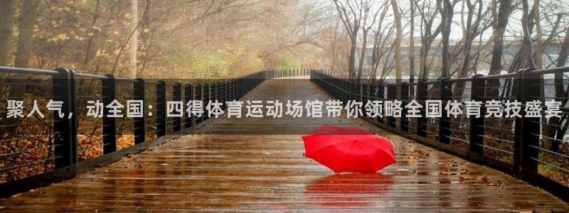球王会体育：聚人气，动全国：四得体育运动场馆带你领略全国体育竞技盛宴