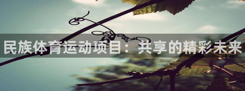球王会体育：民族体育运动项目：共享的精彩未来